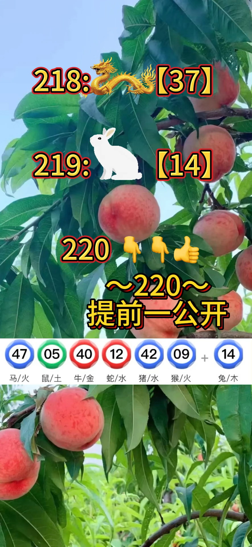 香港澳门 第7页
