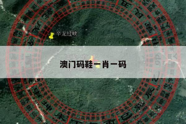 澳门码鞋一肖一码