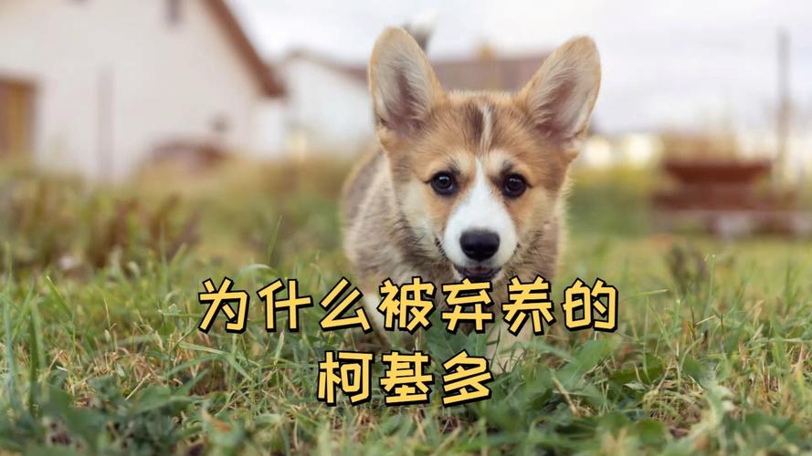 香港澳门 第10页