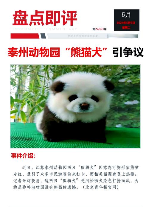 动物园染色狗扮熊猫,狗染色变熊猫