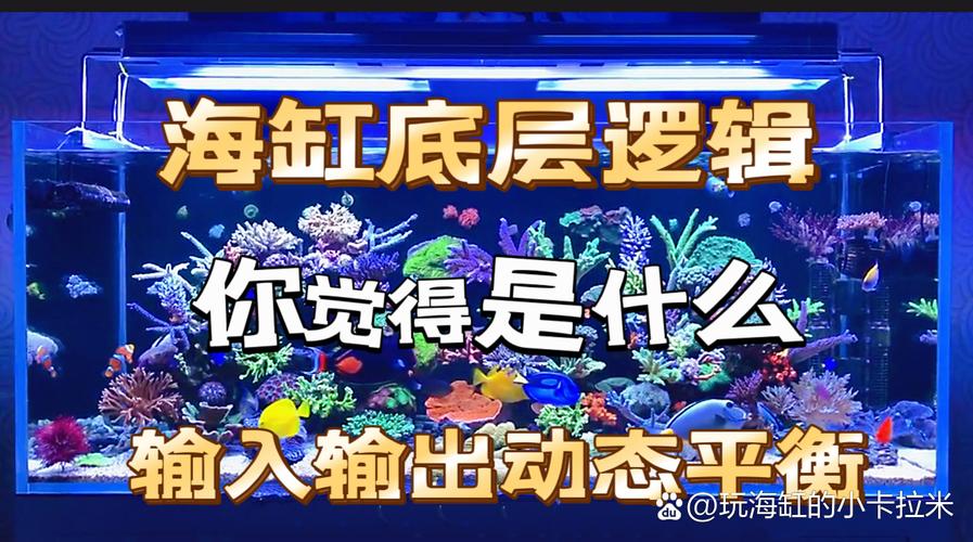 沉迷海缸视力骤减,海缸伤眼睛