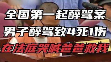 司机酒驾母子1死1伤,司机酒驾母子1死1伤判几年