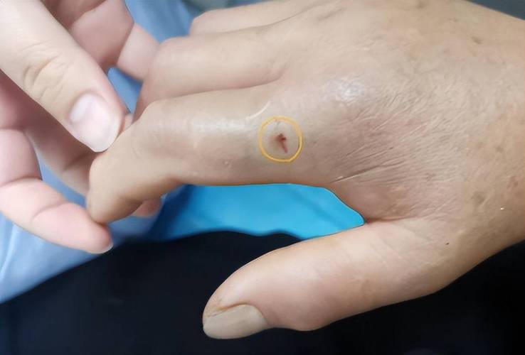 下载中心 第10页